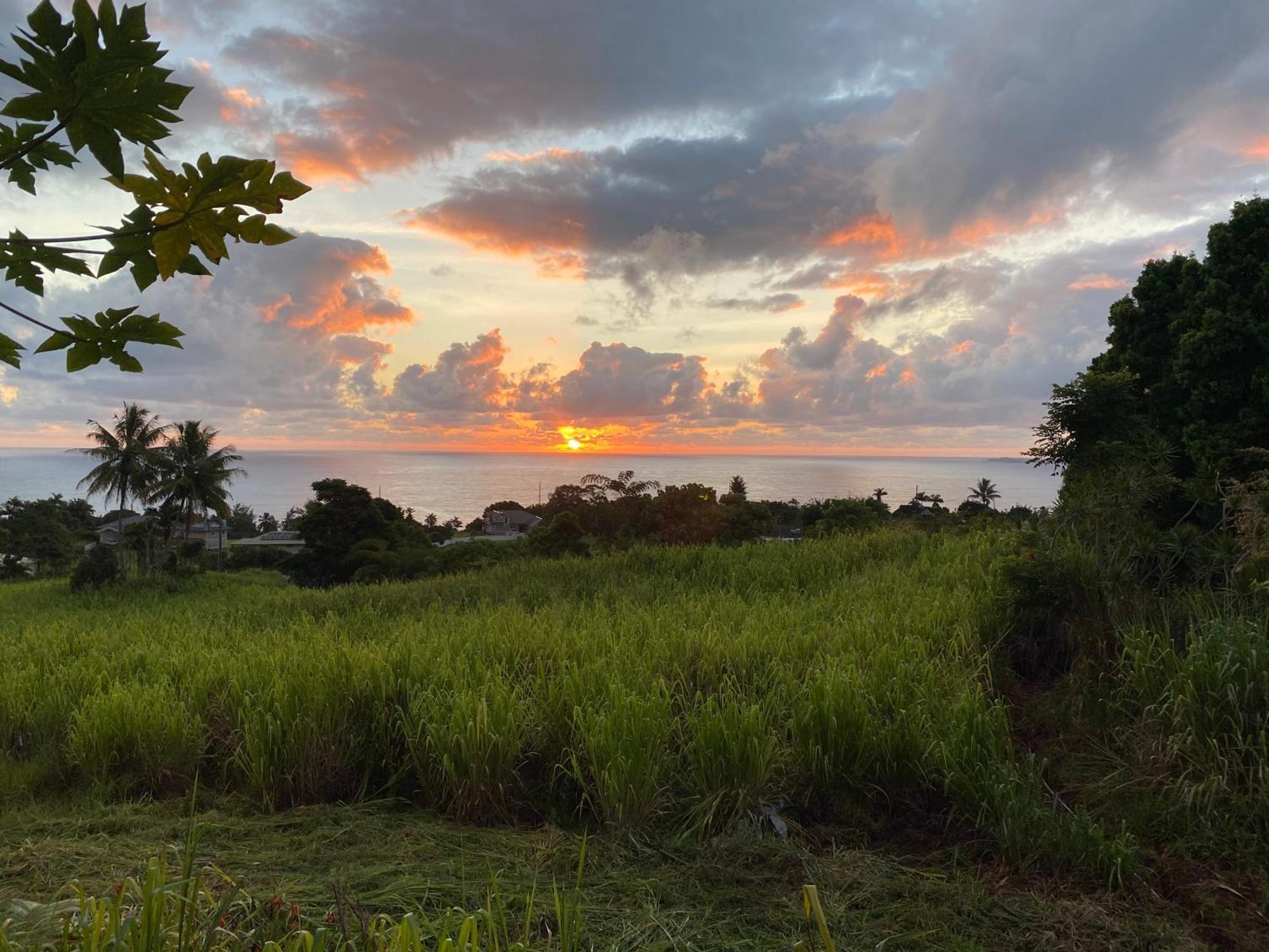 Hawaii Magic Skies Farmstay Paukaa Ngoại thất bức ảnh